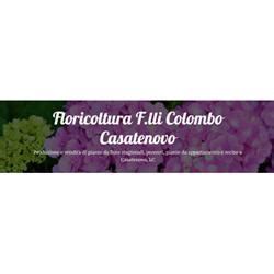 »Colombo Piante E Fiori a Casatenovo (LC): Orari Apertura e .